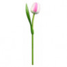 Holz Tulp 34 cm Weiss Pink